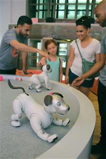 ソニーの施設に展示された家庭用犬型ロボット「aibo」=8月、ニューヨーク(共同) ソニーの施設に展示された家庭用犬型ロボット「aibo」=8月、ニューヨーク(共同)