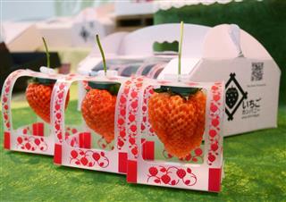 １粒７００円以上の「とろける香りいちご」