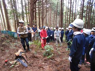 つくばね森林組合の協力を経て、近隣の山で行う「間伐・枝打ち体験」＝ＮＰＯ法人アグリやさと提供