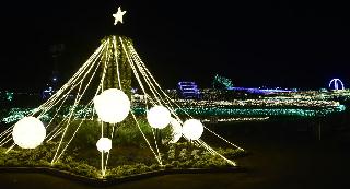 きらめく光と音の演出が楽しめる茨城県フラワーパークの園内＝同県石岡市下青柳