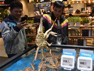 アリババグループが展開するスーパー「盒馬鮮生」の店内。来店客はスマホを使って商品の流通履歴などを確認できる＝浙江省杭州（三塚聖平撮影）