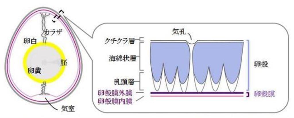 株式会社アルマード ホームページより