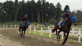 調教競技用走路での騎乗トレーニング。表情は真剣そのもの