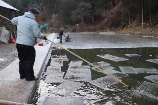 製氷池に張った氷を切り出す作業が始まった＝８日朝、栃木県日光市山久保