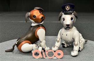 ソニーの新サービス発表会でお披露目された犬型ロボット「ａｉｂｏ」＝２３日午前、東京都港