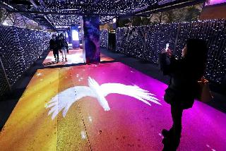 リニューアルした東京メガイルミネーションの「TWINKLE TUNNEL」＝東京都品川区（桐原正道撮影）