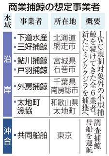 商業捕鯨の想定事業者