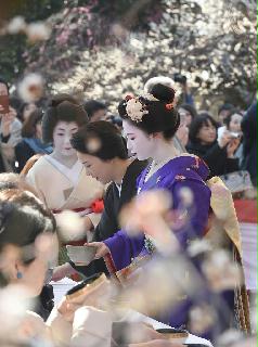 京都・北野天満宮で「梅花祭」梅花祭で参拝客をもてなす芸舞妓ら＝２５日午前、京都市上京区の北野天満宮（永田直也撮影）