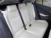 しっかりと確保されたレッグスペース。ヘッドクリアランスも拳一つ分の余裕がある