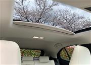 サンルーフ越しの桜並木