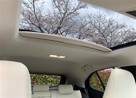 サンルーフ越しの桜並木