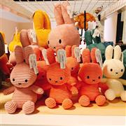 オランダのユトレヒトは「ミッフィー」作者、ディック・ブルーナ氏の出身地。お子さまも楽しめる街です。実はミッフィーはオランダ語では「ナインチェ」と呼ばれています（清水みなさん提供）