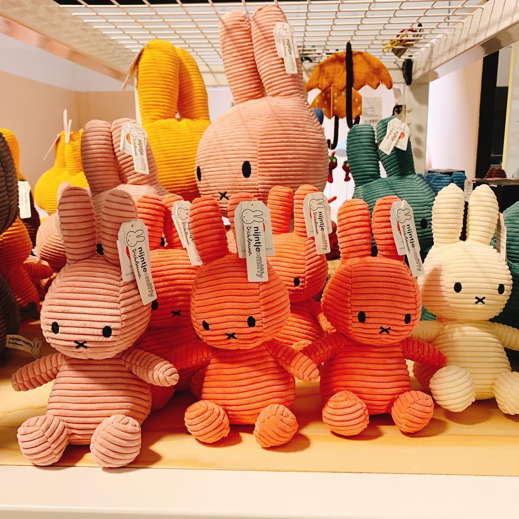 オランダのユトレヒトは「ミッフィー」作者、ディック・ブルーナ氏の出身地。お子さまも楽しめる街です。実はミッフィーはオランダ語では「ナインチェ」と呼ばれています（清水みなさん提供）