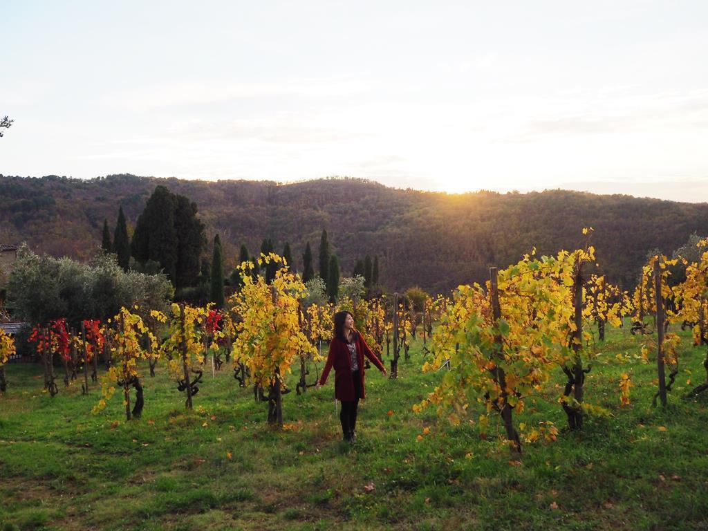 イタリアのトスカーナ地方へ、念願のワイナリーめぐりに行ってきました。ワインはもちろん、美しい景色に終始魅了された旅でした（清水みなさん提供）
