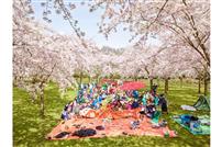 オランダの国立公園にて花見（画像：本人提供）