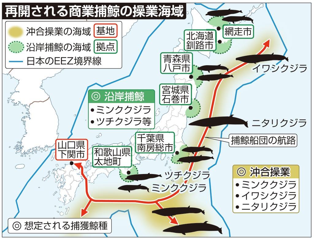 訴訟リスクの商業捕鯨 法的課題の対策急務 2 2ページ Sankeibiz サンケイビズ 自分を磨く経済情報サイト