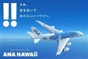 「FLYING HONU」（ANAのHPより）