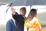 雨の中、傘をさして大統領専用機へ向かうトランプ米大統領とメラニア夫人＝５月２８日午後、羽田空港
