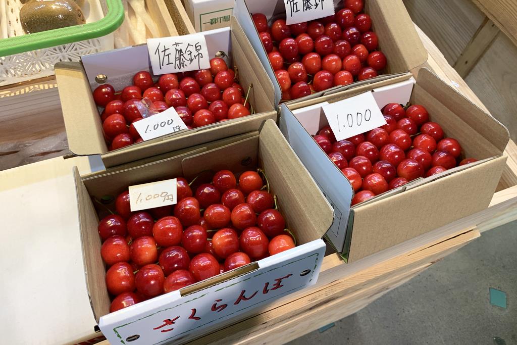 青果市場で購入した佐藤錦