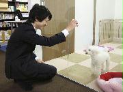 「ＵＧペット」の社内にある「託犬所」で愛犬に話しかける吉武雄史社長＝川崎市
