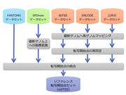 ≪図　転写開始点の標準セット構築の流れ≫　まず、ＣＡＧＥ法などのＲＮＡの転写開始側の端読み配列を網羅的に配列決定する実験手法の結果を公共データベースから収集した。さらに、ＥＰＤ（Ｅｕｋａｒｙｏｔｉｃ　Ｐｒｏｍｏｔｅｒ　Ｄａｔａｂａｓｅ）、ｄｂＴＳＳといったデータベースや、ＦＡＮＴＯＭプロジェクトで取得・公開されたデータから、大規模な転写開始点・プロモーター領域情報も収集した。次に、これらのデータを最新のヒトゲノムないしマウスゲノムに再マッピングし、転写開始点の位置を最新のゲノム配列上で再探索した。そして、再探索した転写開始点を統合し、最終的な転写開始点セットを決定した。