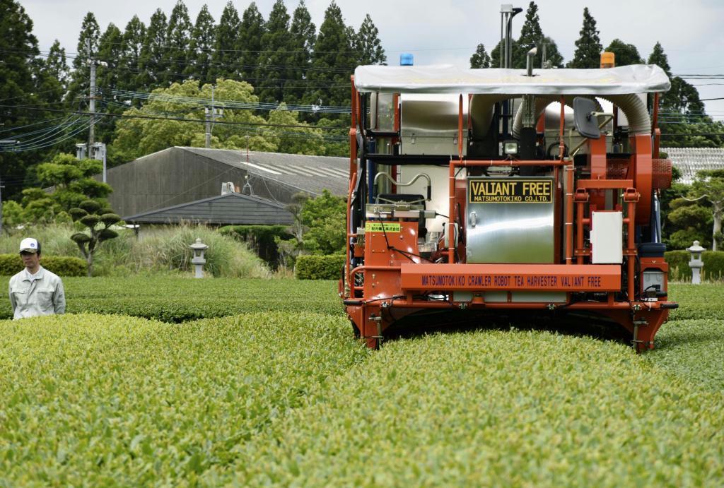 ＡＩとセンサーを活用して無人で走り、茶葉を収穫する「無人茶摘み機」＝５月、鹿児島県南九州市