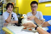 （中国新聞社）
