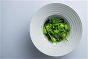 枝豆やアイスプラント、昆布出汁と合わせたもずく