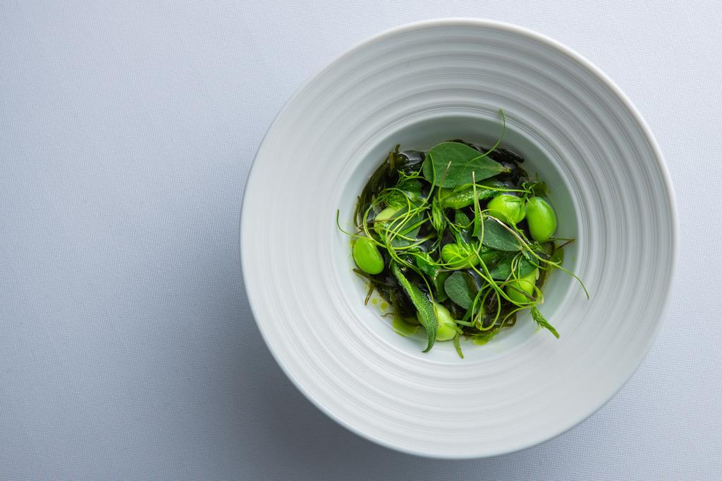 枝豆やアイスプラント、昆布出汁と合わせたもずく