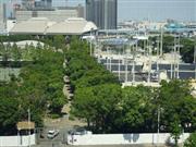 工事が追い込みに入った有明テニスの森公園（8月撮影）