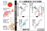 ゲノム編集食品に対する規制
