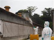 豚コレラの感染が確認された三重県いなべ市の養豚場を消毒する作業員＝７月２９日