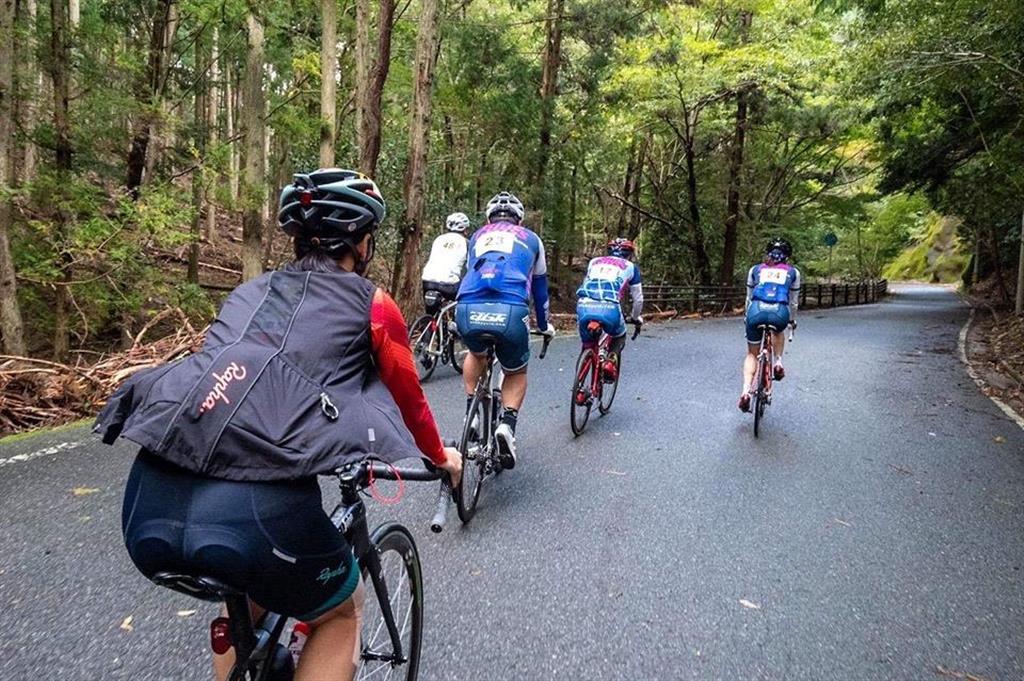 「国境サイクリングIN対馬」のコースを走るサイクリストたち　＝10月19日、長崎県対馬市（実行委員会提供）