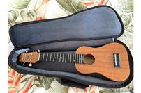 ギター、ウクレレ、バイオリン、フルート、アコーディオンなど多彩な楽器が1週間から6カ月の範囲でレンタルすることができる