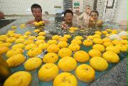 冬至でゆず風呂が行われた銭湯＝２２日午前、大阪市生野区の南生野温泉（彦野公太朗撮影）