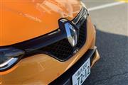 ルノーの「メガーヌR.S.トロフィー」