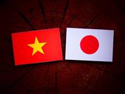 ベトナムと日本の国旗（Getty Images）