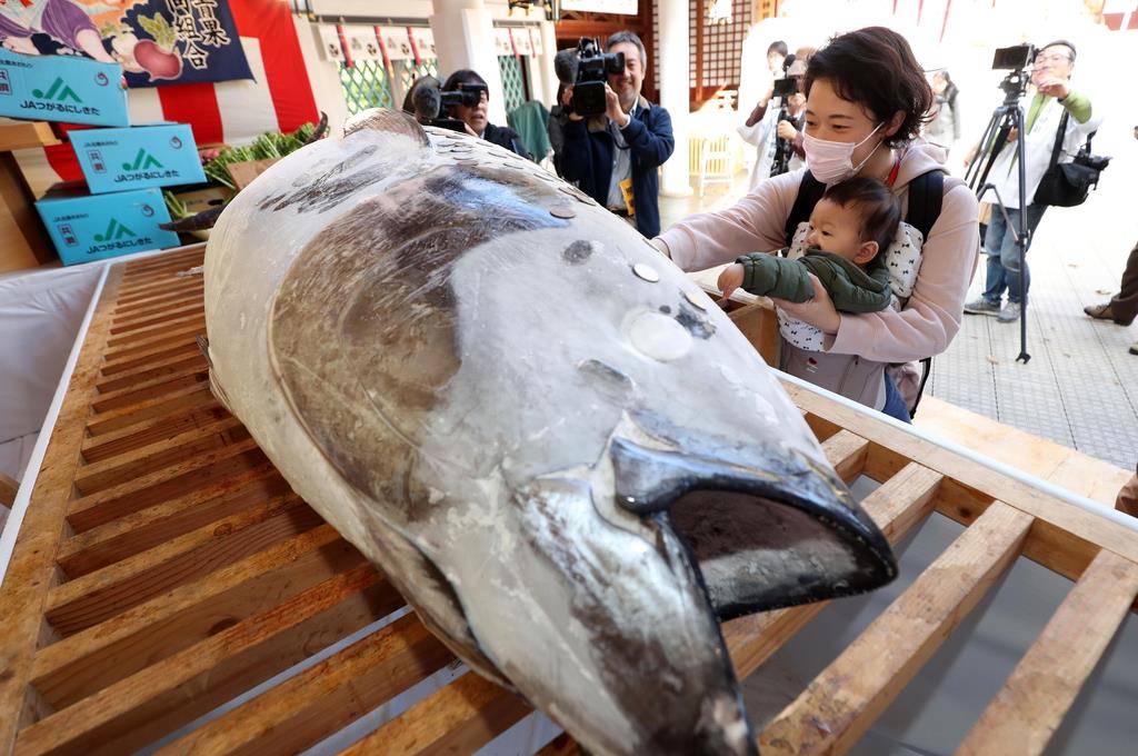 マグロに託す金運アップ 兵庫 西宮神社 Sankeibiz サンケイビズ 自分を磨く経済情報サイト
