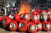 参拝者が見守る中、１年の役目を終えたダルマが火に包まれた＝９日午前１０時、前橋市