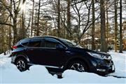 木漏れ日を浴びるホンダCR-V