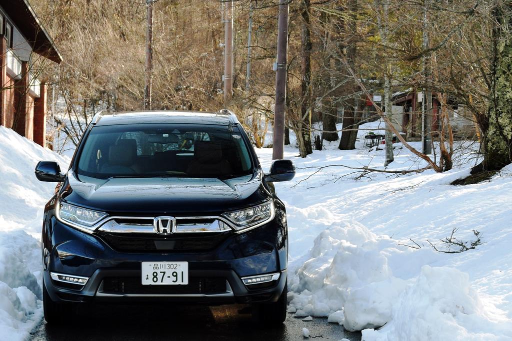 山中湖周辺は深い雪に覆われていた