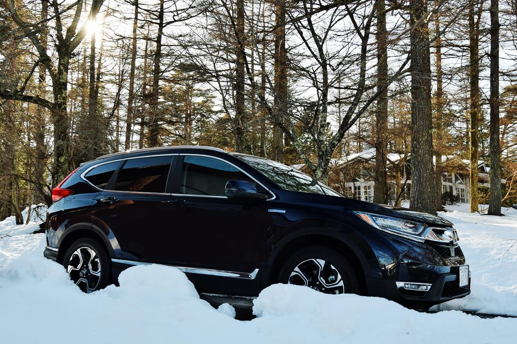 木漏れ日を浴びるホンダCR-V