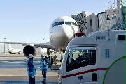 　中国・武漢から到着した日本政府のチャーター機。手前は待機する救急車両＝２９日午前１０時５分、羽田空港