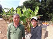 タイミートラベルでは、農作業の求人が人気を呼んでいる。こちらは日本最南端の島「波照間島」でのサトウキビ収穫の様子