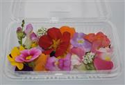 パックで販売されるエディブルフラワー＝鳥取市