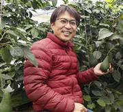 ハウス内でアボカドを手に笑顔の横山洋一さん＝２０１９年１２月、宮崎市