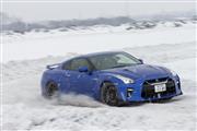 高性能スポーツカーのGT-R
