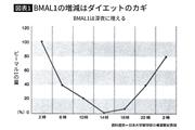 脂肪をためこむBMAL1は午後2時が少ない　※ピーク値を100％としたときの日内変動のイメージ