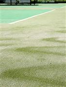 人工芝が敷かれた東京都内のテニスコート