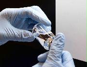 新型コロナウイルスの治療薬候補「レムデシビル」（ギリアド・サイエンシズ提供）